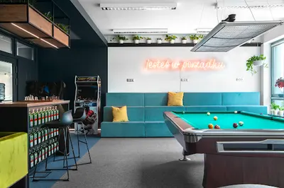 Python Software House Profil Software